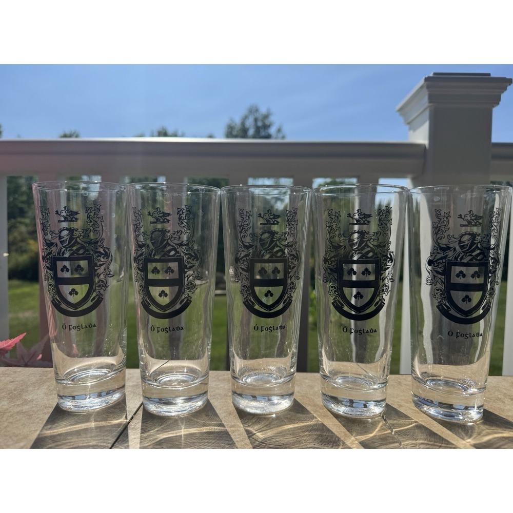 Set of 5 Vintage Irish Coat of Arms Highball Glasses 7" Nice!